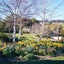 Wombat Hills Cottages