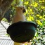 Bowral Road Bed And Breakfast