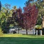 Mallacoota's Shady Gully Caravan Park