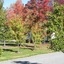 Lake Hamilton Motor Village & Caravan Park