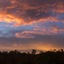 Cedar Park Rainforest Resort
