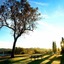 The Oaks Ranch
