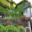 Family Hotel More
