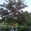 Wenzler's Landing Bed & Breakfast