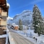 Hotel Grindelwalderhof