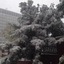 Holiday Inn Express Ordos Dongshen By Ihg
