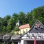 Schwarzer Bär