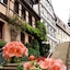 Bacchus Hotel