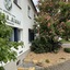 Hotel Luther Birke Wittenberg