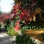 Finca Hotel Predio Son Serra