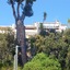 Apartment Cimes