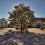 Landhotel Fetzer