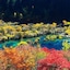 Sheraton Jiuzhaigou Resort