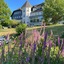 Hofgut Georgenthal