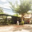 Naturela