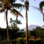 Villa Lihat Sawah