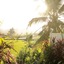 Ubud Padi Villas