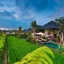 Bliss Bungalow