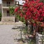 Archontiko Hatzipanayiotis