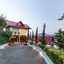 Country Inn Maple Resort Chail