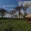 Kiboko Luxury Camp