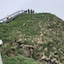 Álfheimar