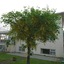 Alba Guesthouse