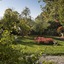 Al Porto Di Lucca B&B
