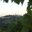 Agriturismo Il Casolare Di Bucciano