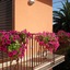 Il Girasole Capo D'orlando