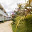 Reef Beach Resort