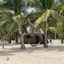 Modessa Island