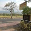 Bali Lovina Beach Cottages