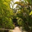 Marcosas Cottage Resort