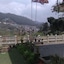 Midky Hotel