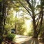 Kimi Ora Eco Resort