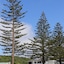 Sierra Beachfront Motel