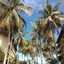 Palm Beach Resort & Spa