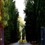 Collina Toscana Resort
