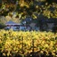 Auberge Clermont