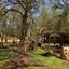 Phumula Kruger Lodge