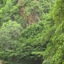 Leopard Mountain Safari Lodge
