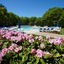 Sea Mist Resort