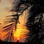 Adventure In Paradise