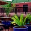 Riad Safir Marrakech & Spa