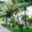 Villa Del Sol Beach Resort & Spa