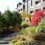 Salish Lodge & Spa