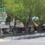 Trees Motel