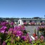 The Orca Inn