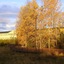 Aspen Hotel Soldotna